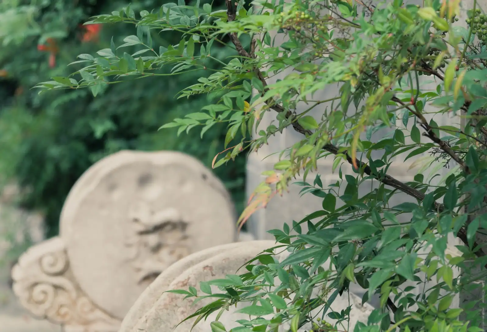 沈阳企业举办大型商务会议，如何制定高效的会议策划方案与预算控制方案