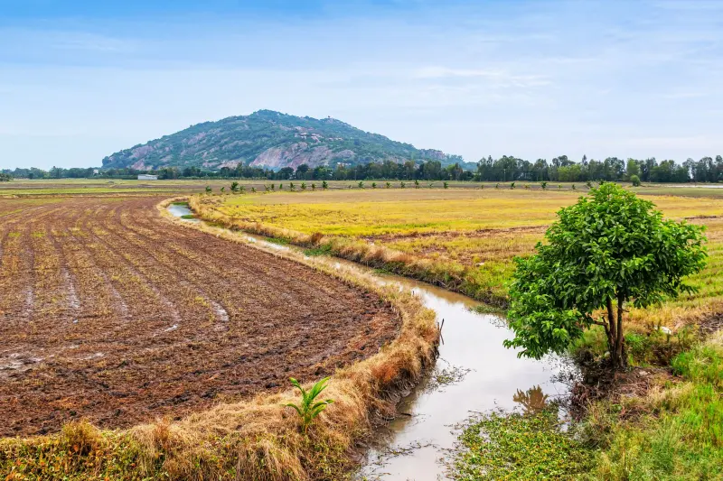 辽宁地区高端商务活动执行手册：从嘉宾接待到场地考察的全流程指南